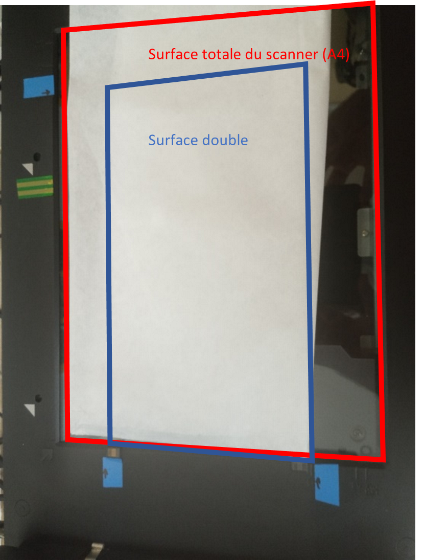 Flat (red) and Transparent (blue) scan zone of EPSON's V800 scanner