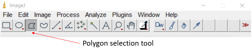 Polygon selection tool in ImageJ